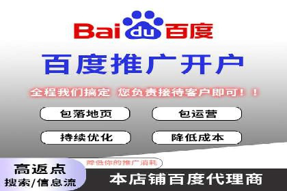 百度网络推广案例分享：低成本打造爆款品牌，助力企业腾飞